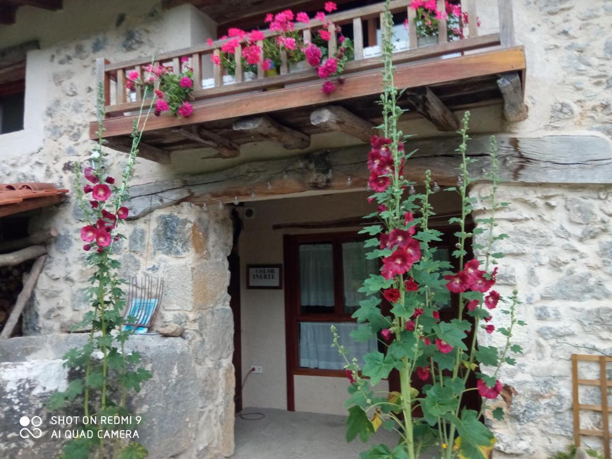 Belaustegi Turismo Rural Ispáster Esterno foto