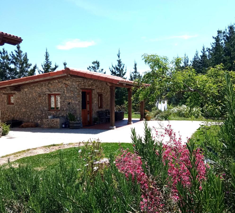 Belaustegi Turismo Rural Ispáster Esterno foto